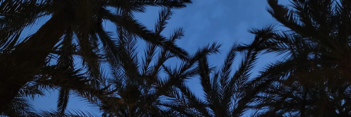 densalaria's profile banner image
