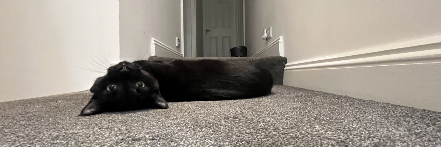 oliviajuniper4's profile banner image