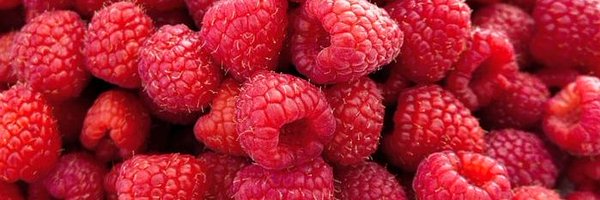 mryanerdek Profile Banner