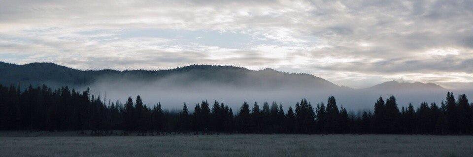 dmtrlndng's profile banner image