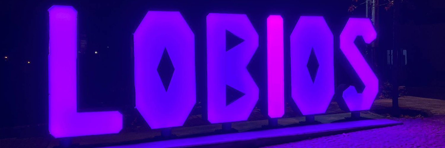 Concello de Lobios banner