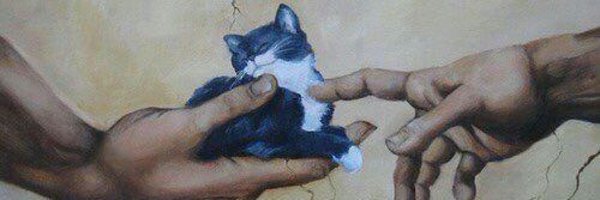 Raperisaa's profile banner image