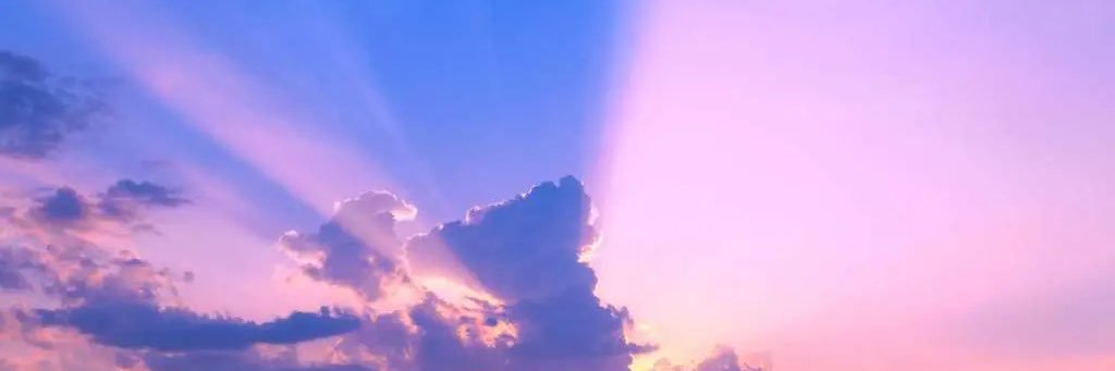 RodzFerdinand's profile banner image