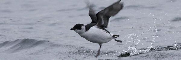 Wintersett1 Profile Banner