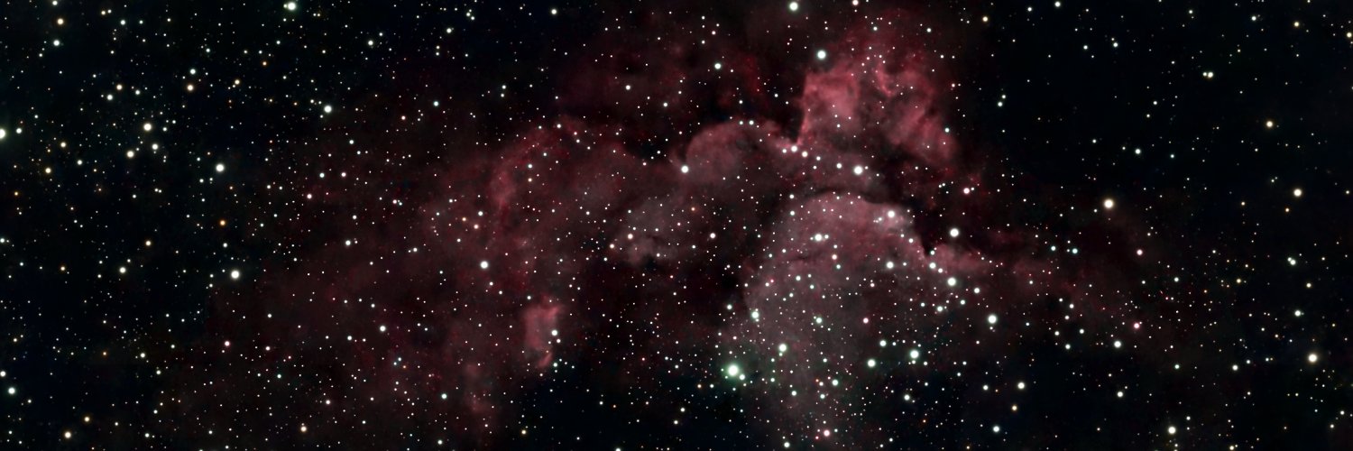 reqviem_l's profile banner image