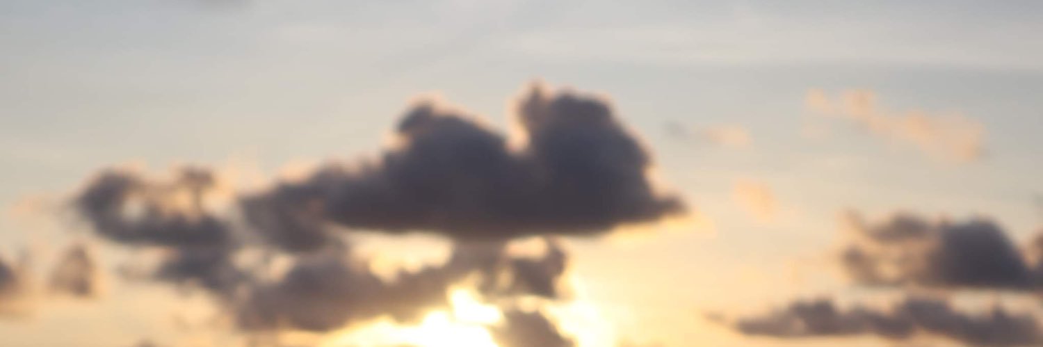 patrishavenice's profile banner image