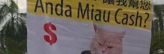 friednasi's profile banner image