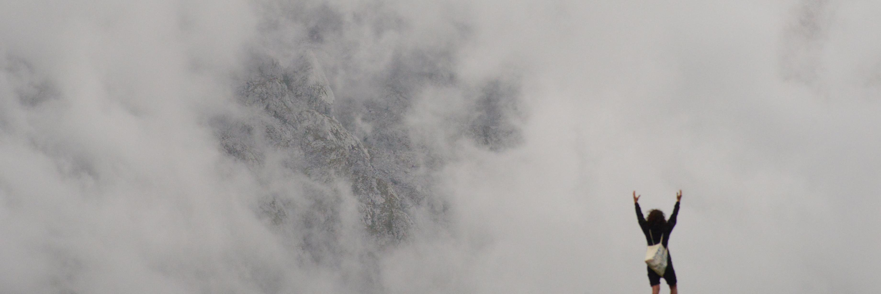 sole_vilar's profile banner image