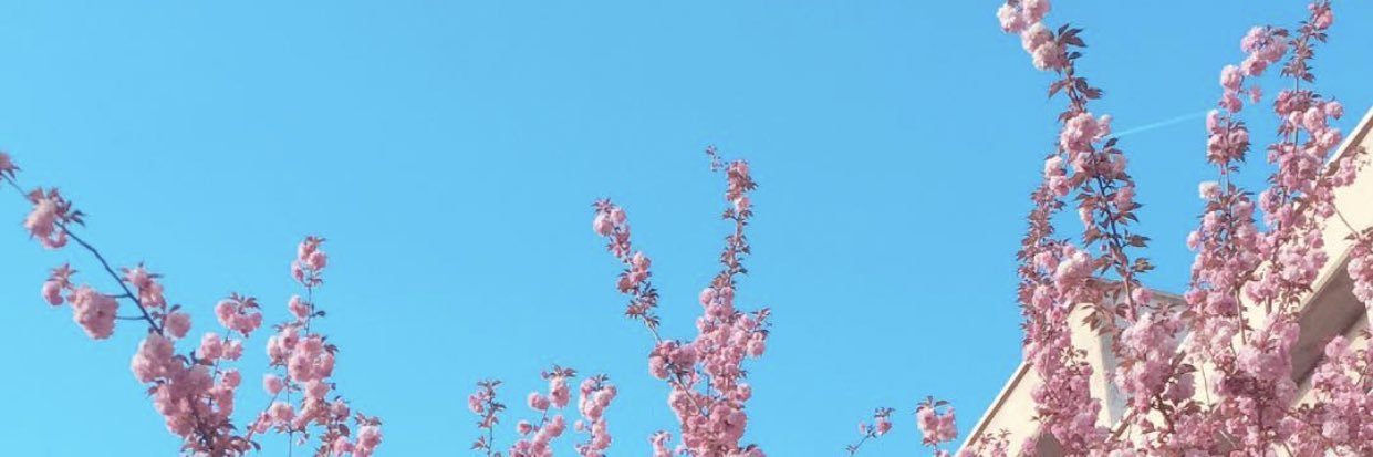 DamlanurKuru's profile banner image