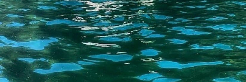 nouramms8's profile banner image