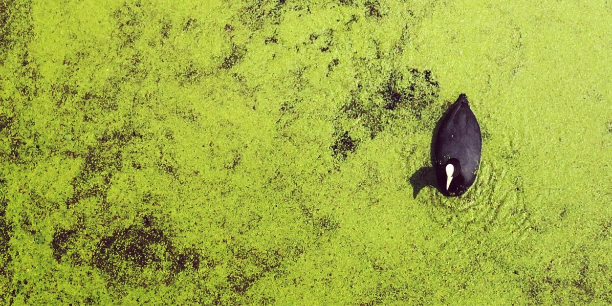 filletsofphil's profile banner image
