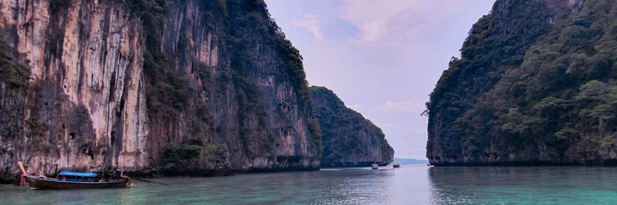 Ceeeelia____'s profile banner image