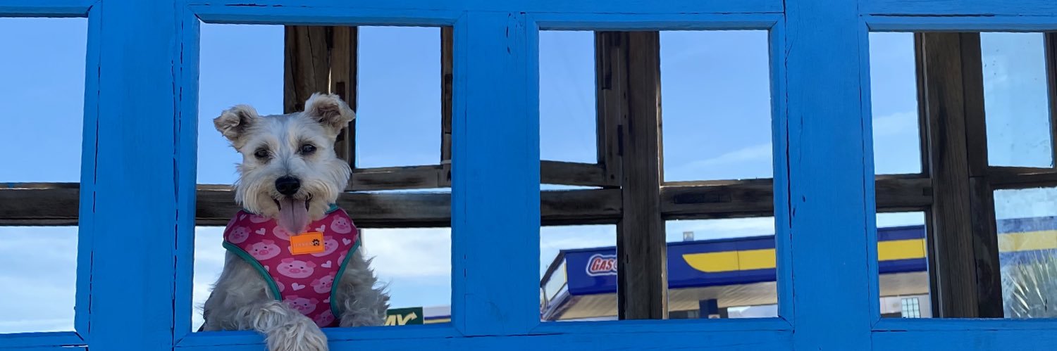 michellesanzc's profile banner image