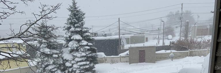 Norberto M Rpbd banner