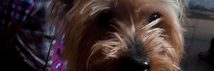 samxzs17's profile banner image