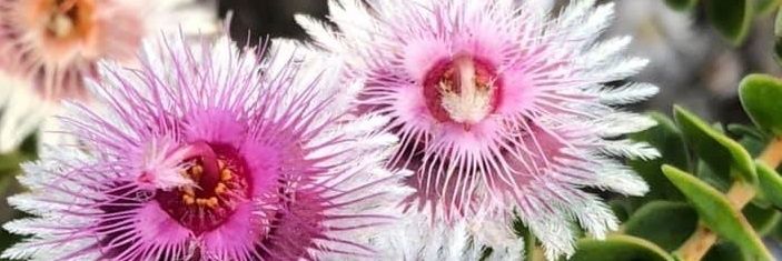 Stephen 🇺🇦 banner