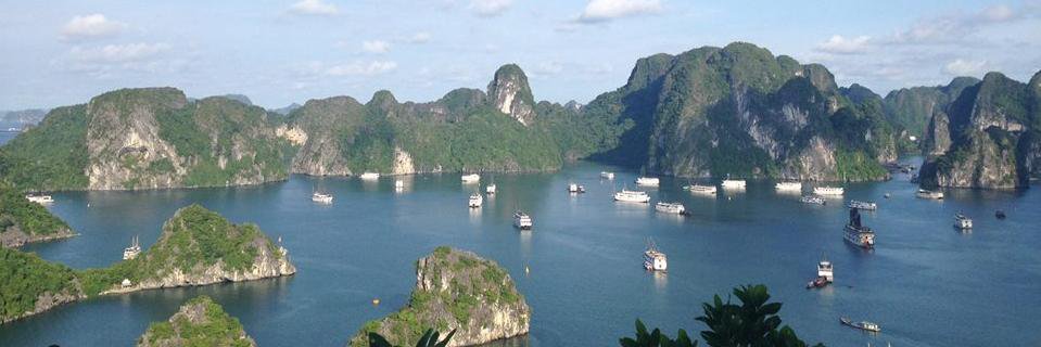 🤸‍♀️📖 Ester 📖🤸‍♀️ banner