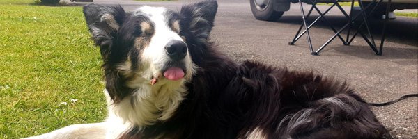 HelenArmet Profile Banner