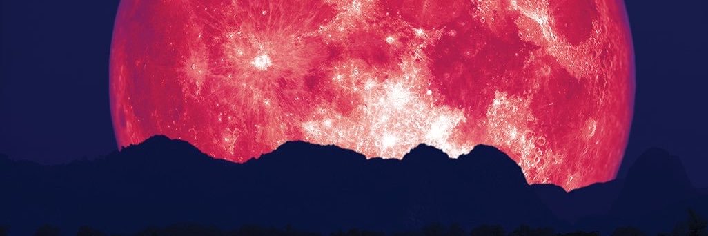 SarahSymbiotzz's profile banner image