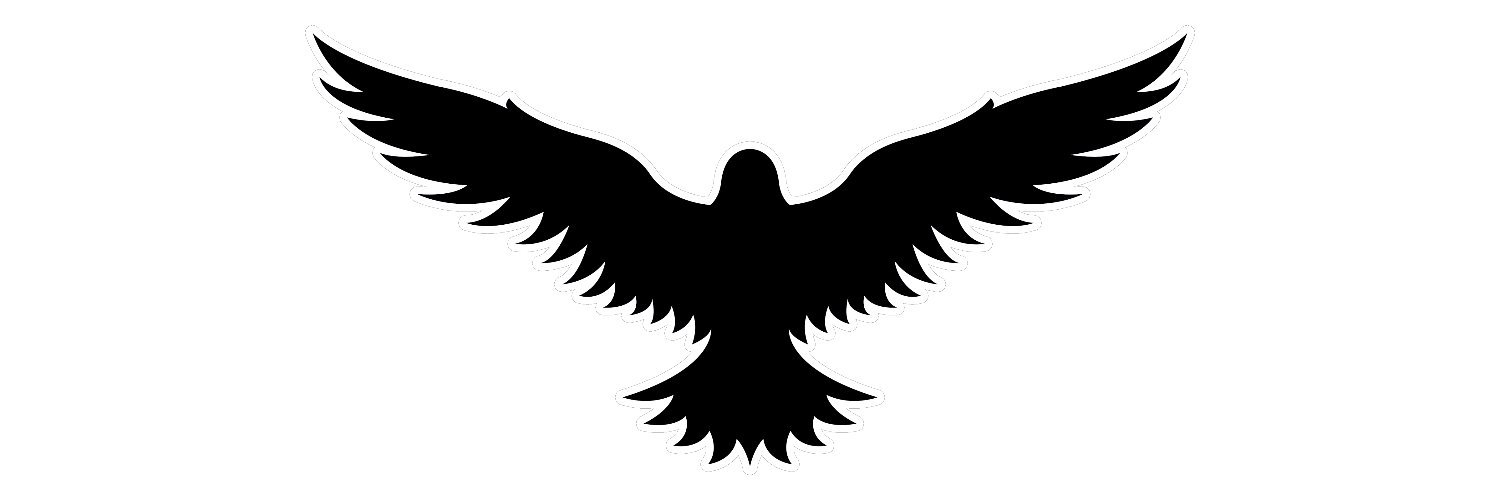 AshravenTV's profile banner image