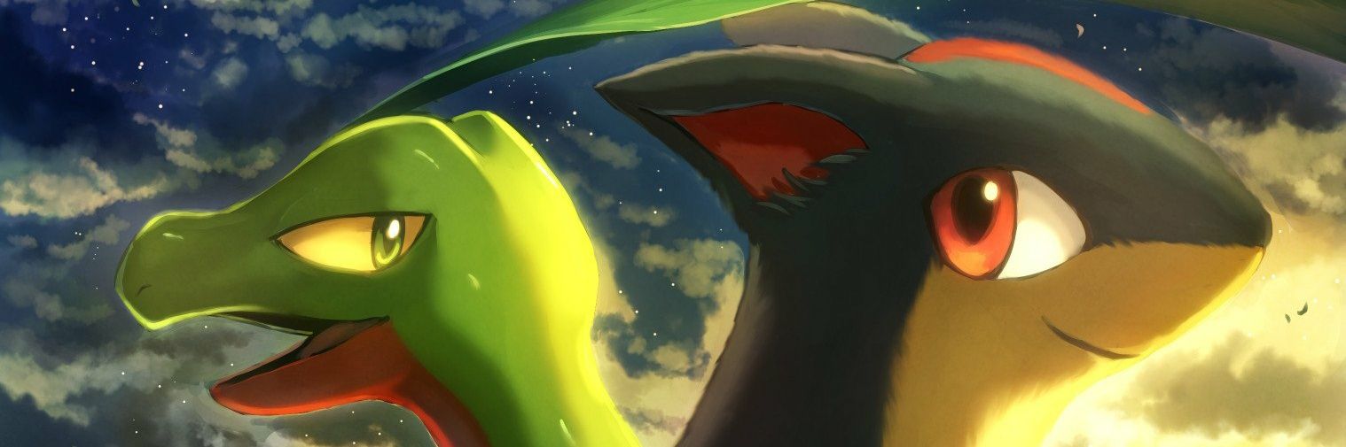 Karlytho banner