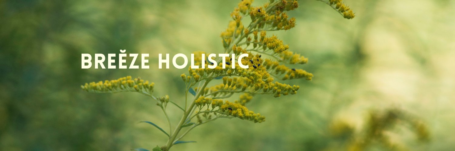 breezeholistic's profile banner image