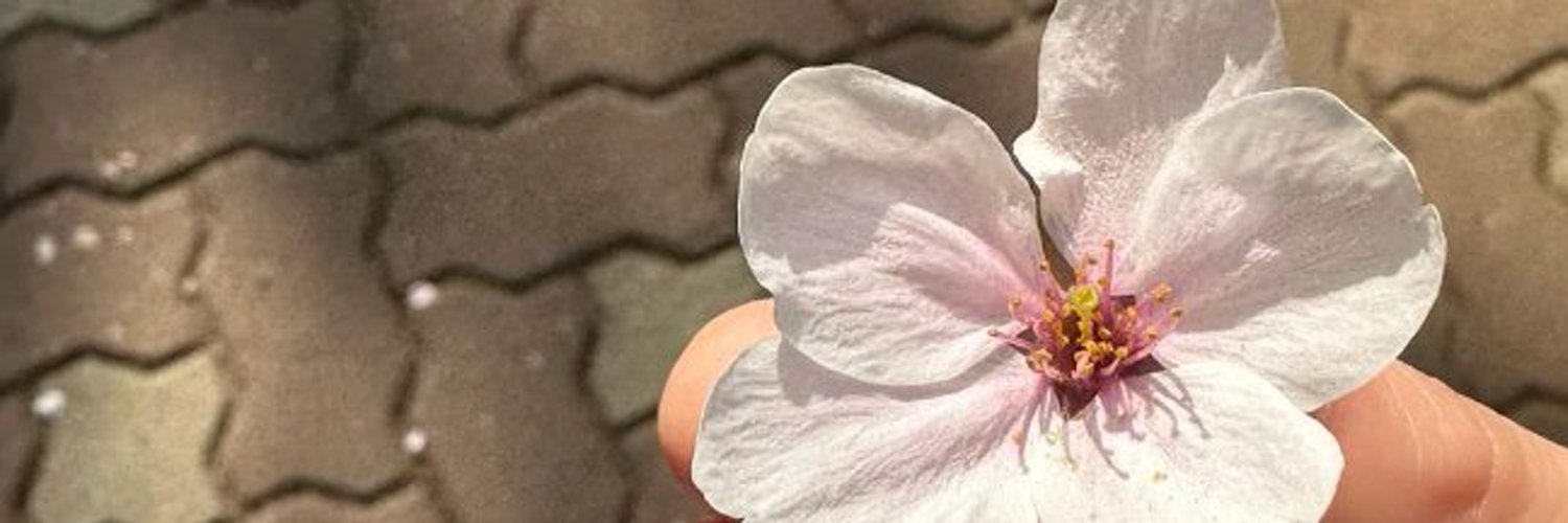 Rodrigofinoboy's profile banner image