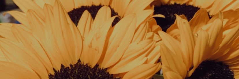 Rossby_'s profile banner image