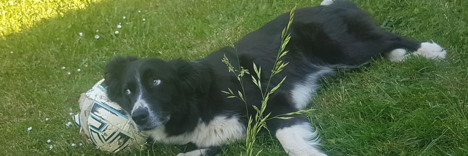 Nitramos #TAEM banner