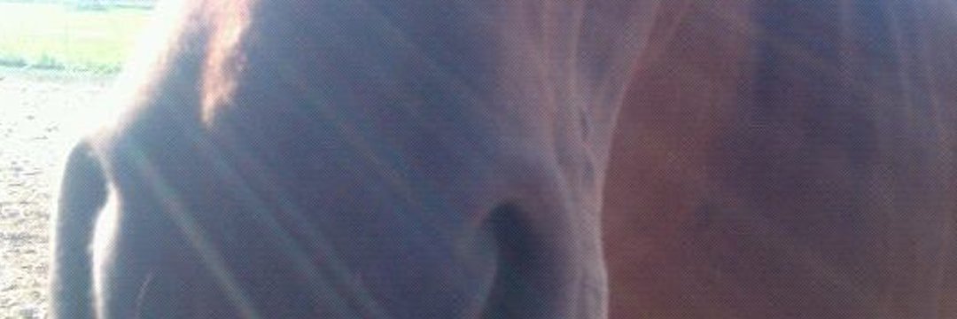 crisespy1's profile banner image