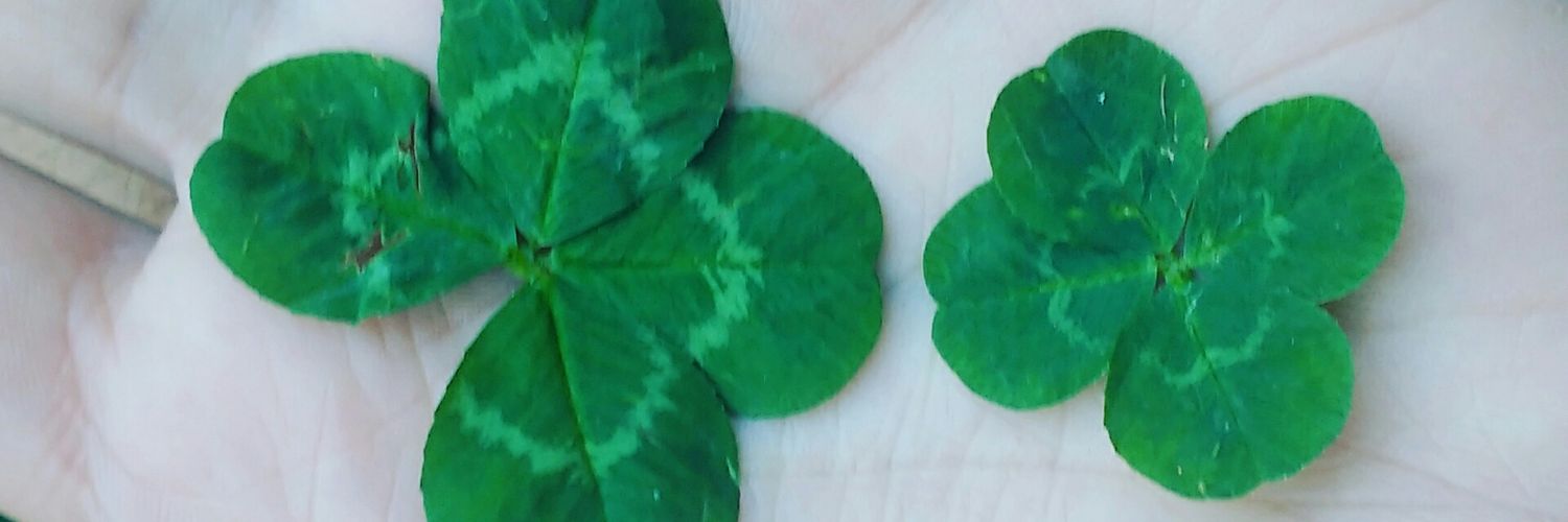 MilthonPatro's profile banner image