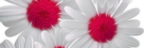 LillyBloom4U's profile banner image