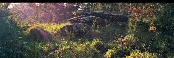 MCarreroPazos Profile Banner