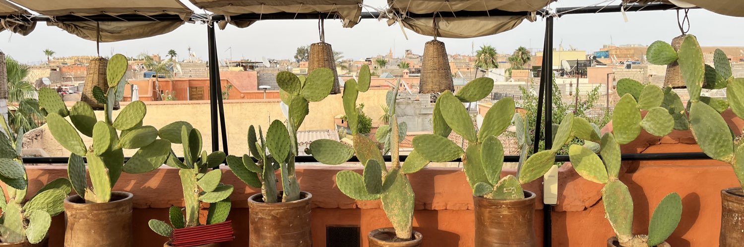 Sabine Devynck banner