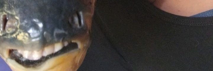 Astronautadalua's profile banner image