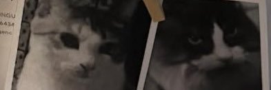 guardyian's profile banner image