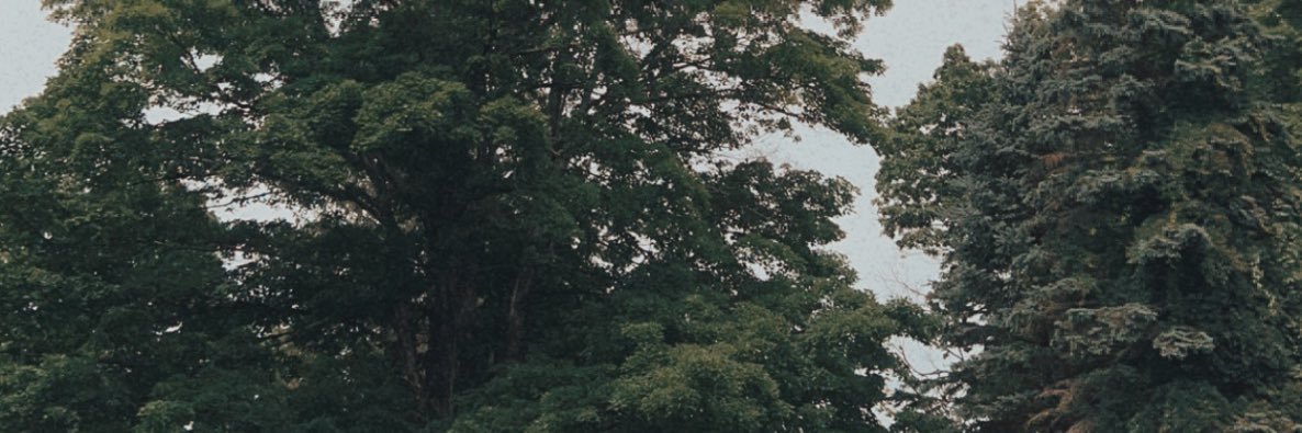 hannahleass's profile banner image