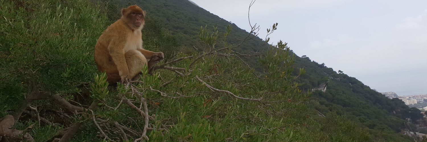 slimfitvr's profile banner image