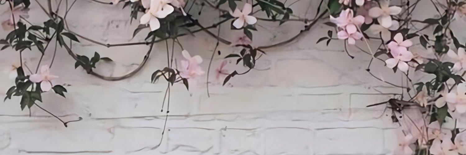 nosoyelbryan's profile banner image