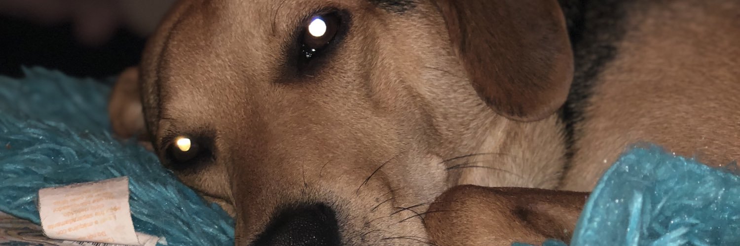 Loftin61's profile banner image