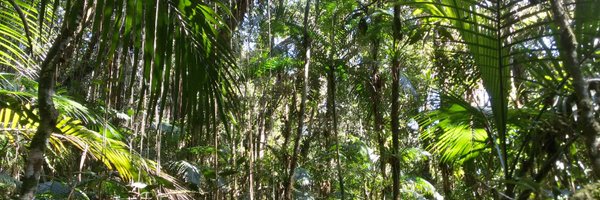 NachomanVillar Profile Banner