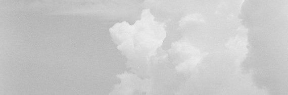 BrendaNeme's profile banner image