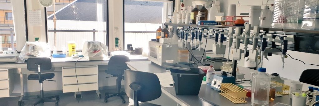 Rogier J. Nell banner