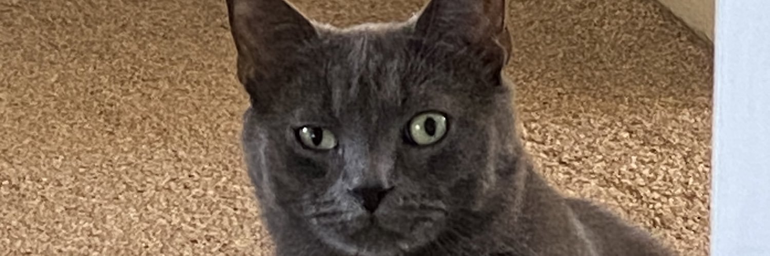 EWetherill's profile banner image