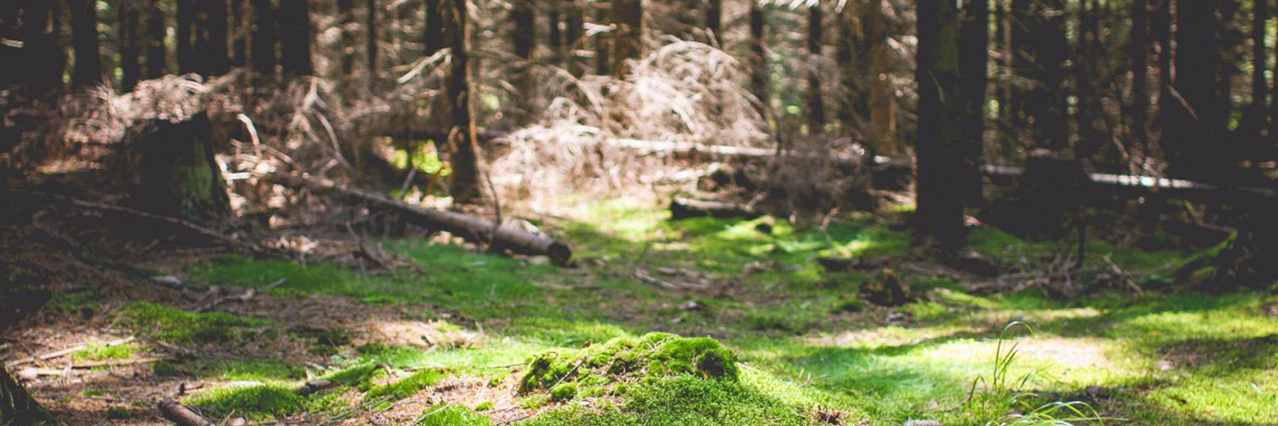 Grand River Country⚡ banner