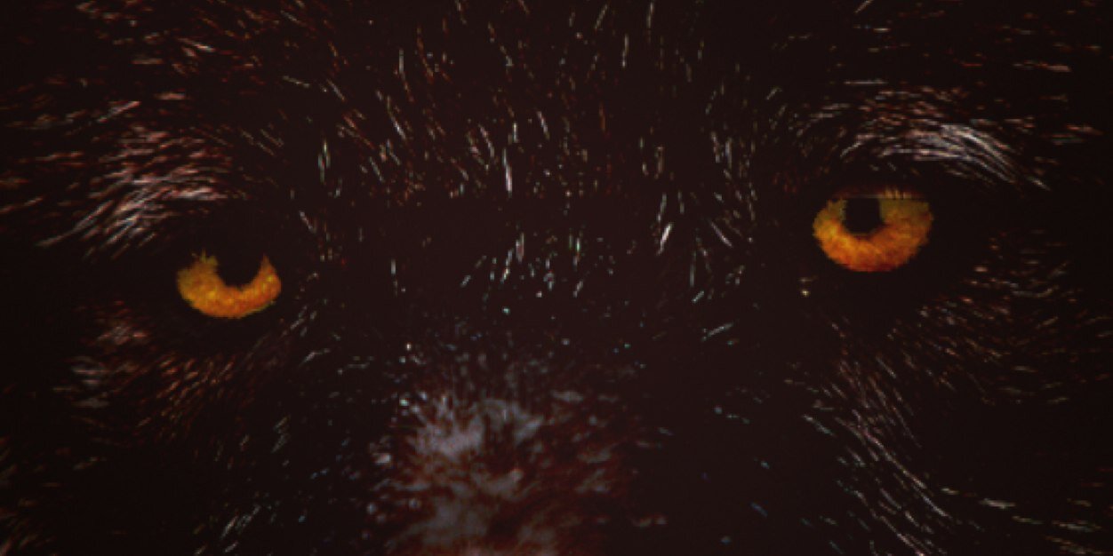 Darren_HP's profile banner image