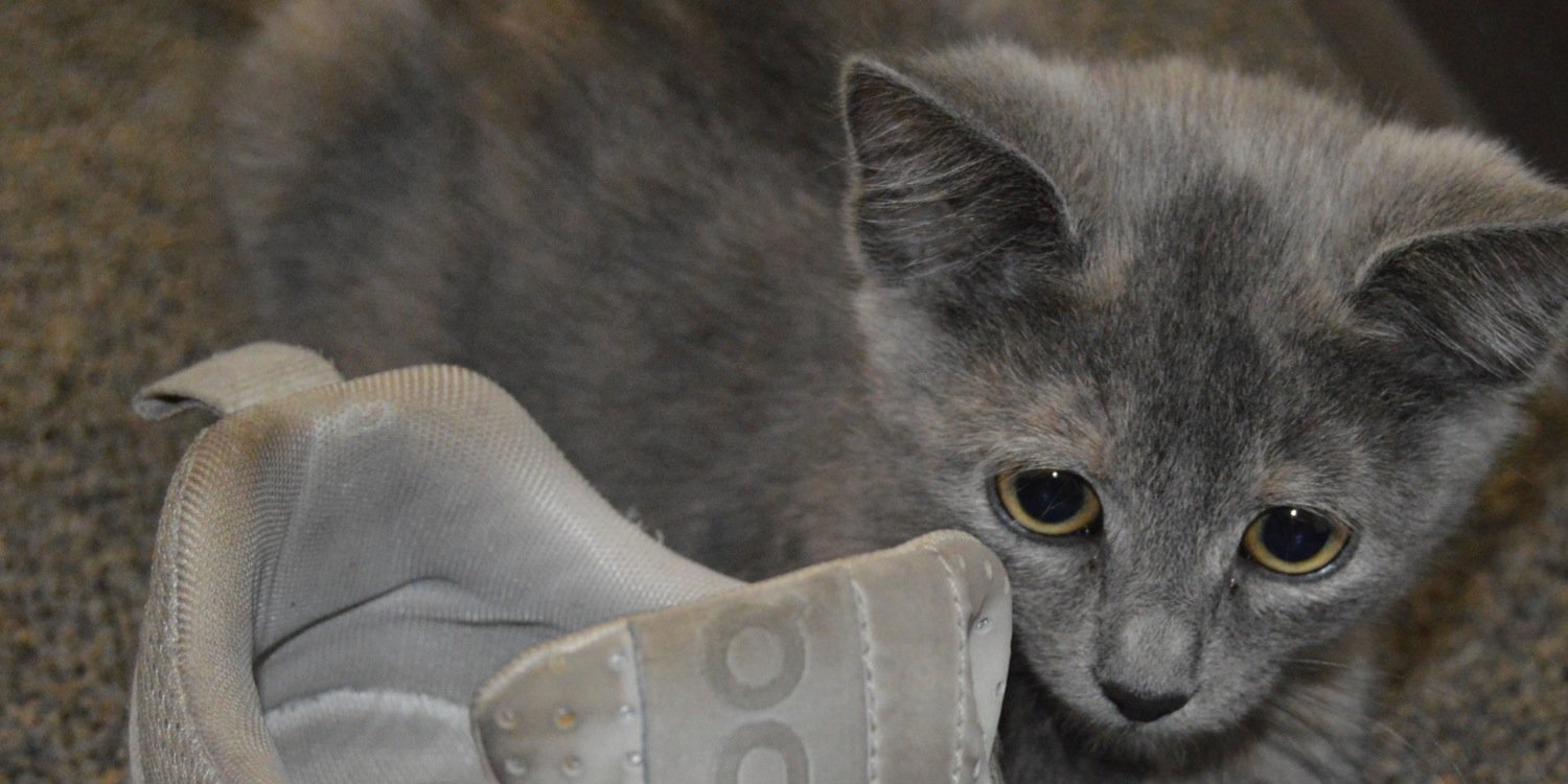 kitarenee45's profile banner image