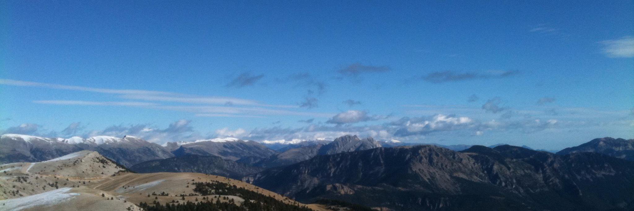 Narcis Cardoner MD banner