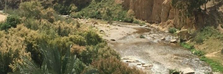 al_issi's profile banner image