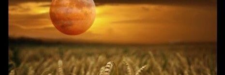 TGysler's profile banner image